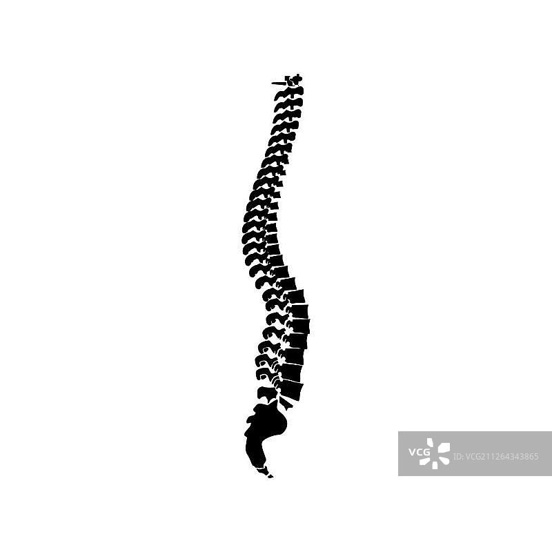 脊柱图标图片素材