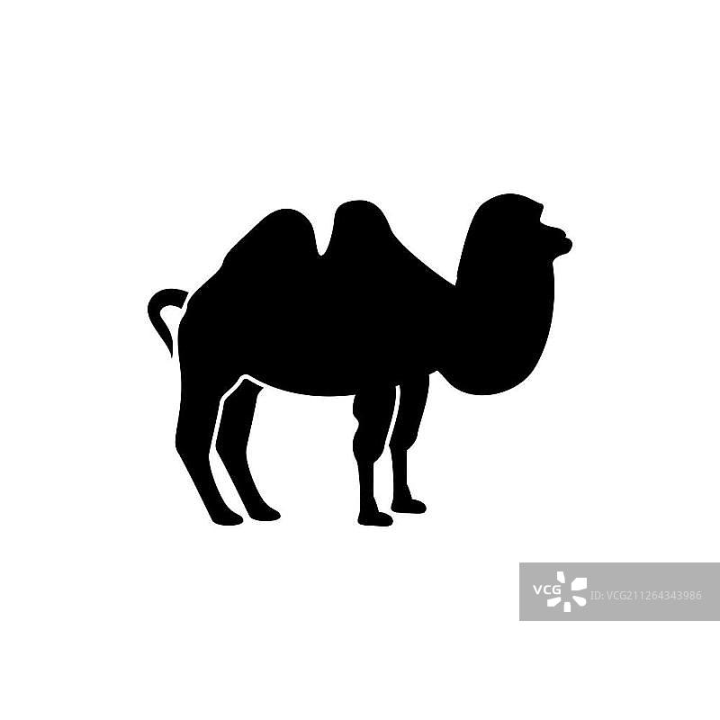 黑色骆驼图标图片素材