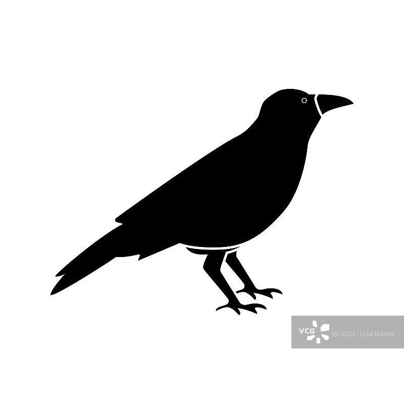 黑色乌鸦图标. 简约风格图片素材