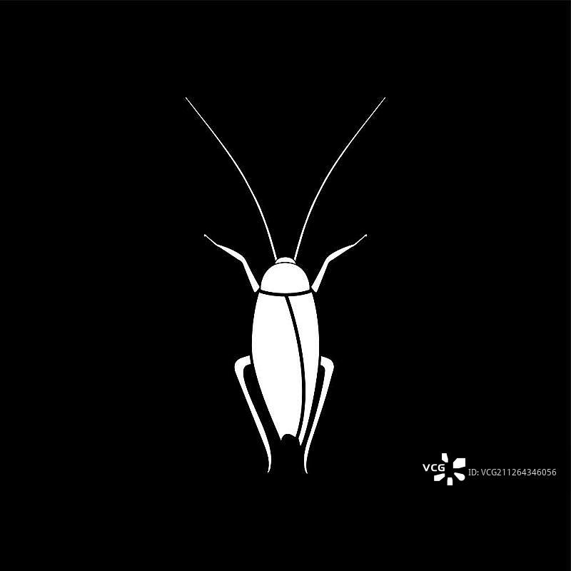 蟑螂图标，扁平风格图片素材