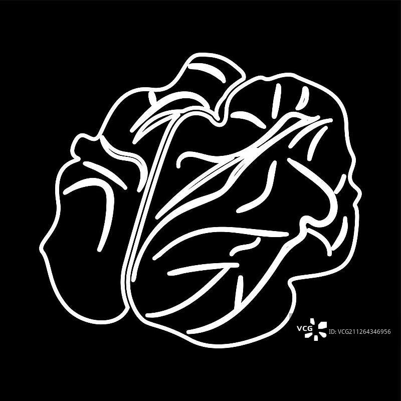 核桃图标图片素材