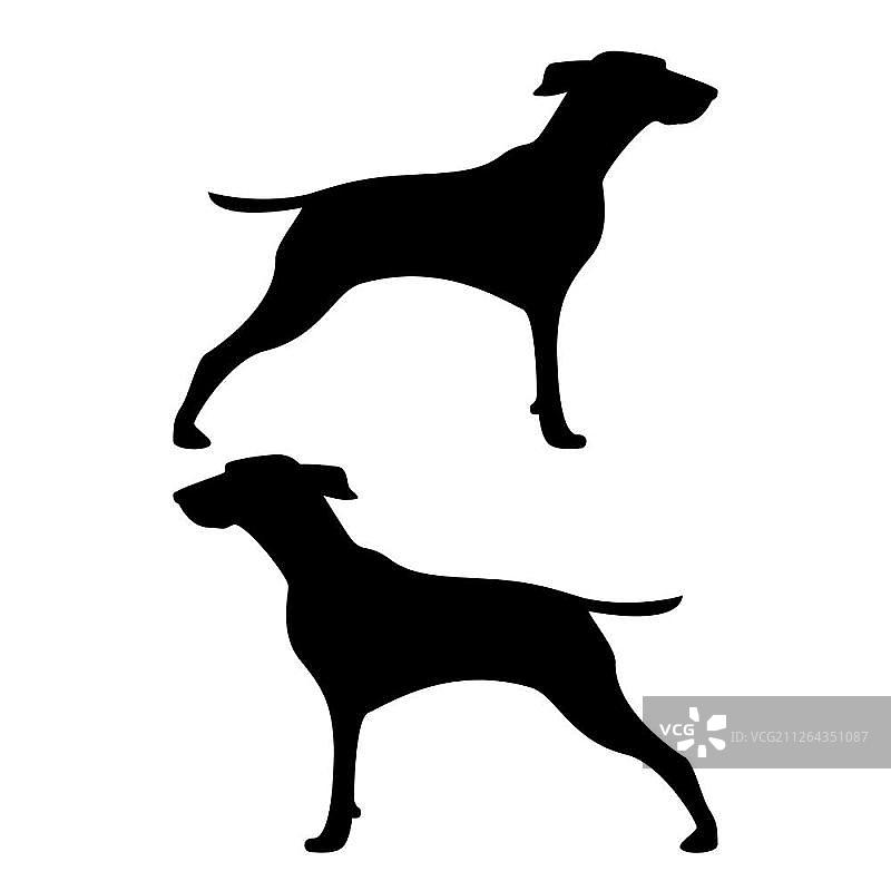 猎犬图标（黑色）图片素材