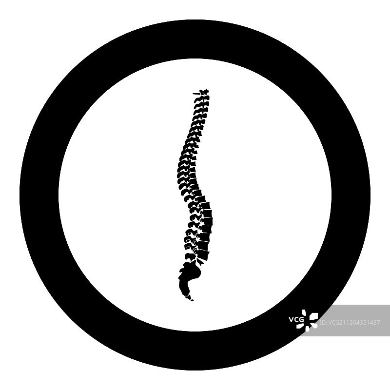 圆形黑色脊柱图标：矢量图图片素材