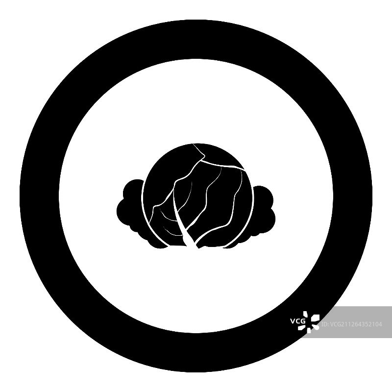 圆形黑色卷心菜图标矢量图图片素材