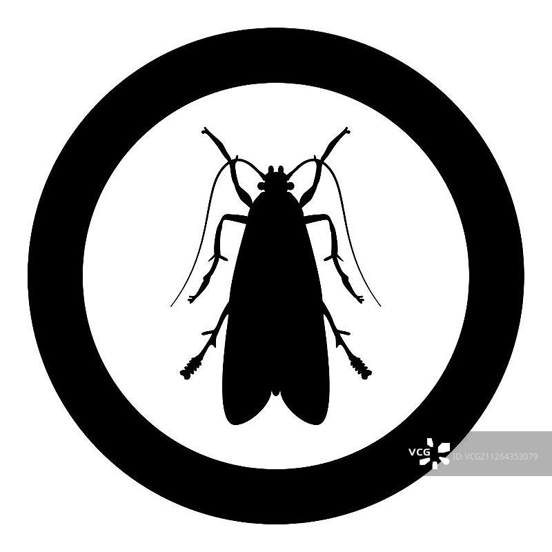 衣蛾扁平风格矢量插画图片素材