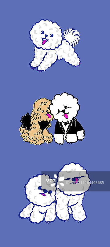 比熊泰迪小狗插图图片素材