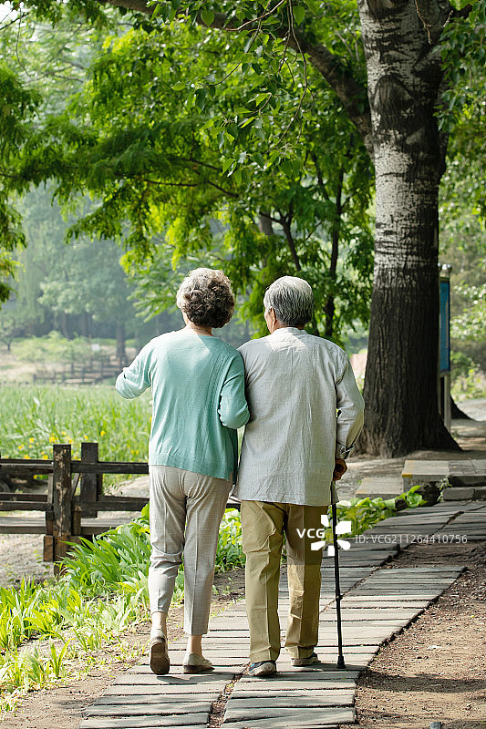 老年夫妇在公园里散步图片素材