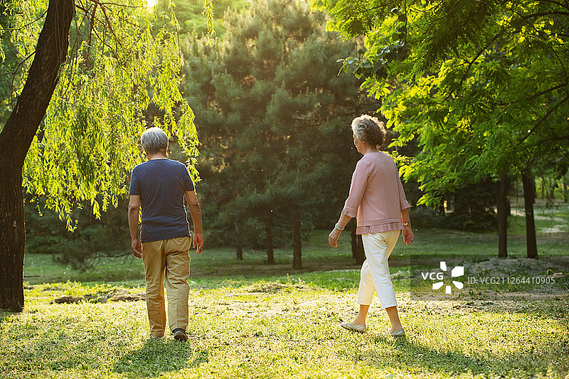 老年夫妇在公园散步图片素材