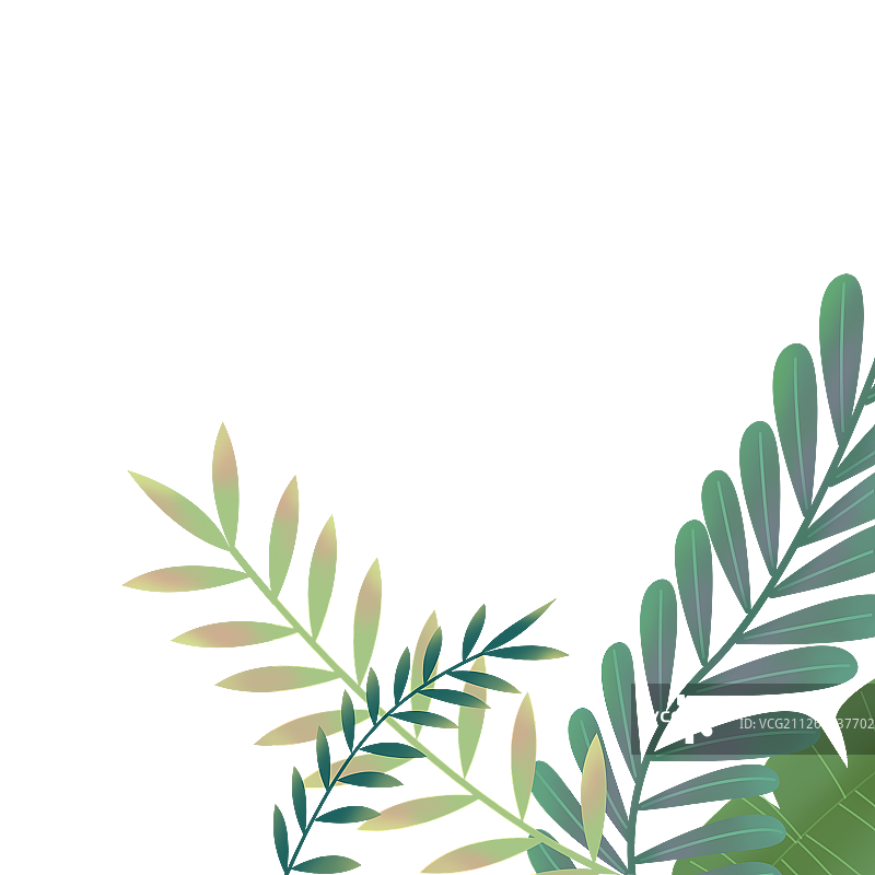 绿色植物图片素材