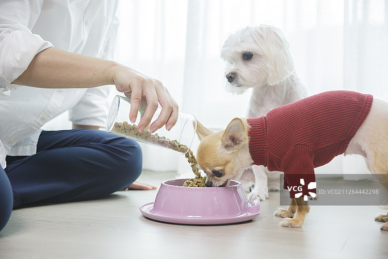 女士手部特写，日常生活088图片素材