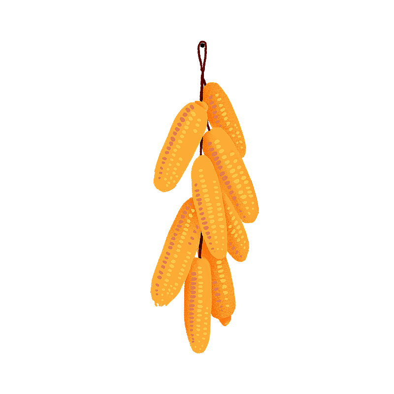 一串玉米棒扁平风图片素材