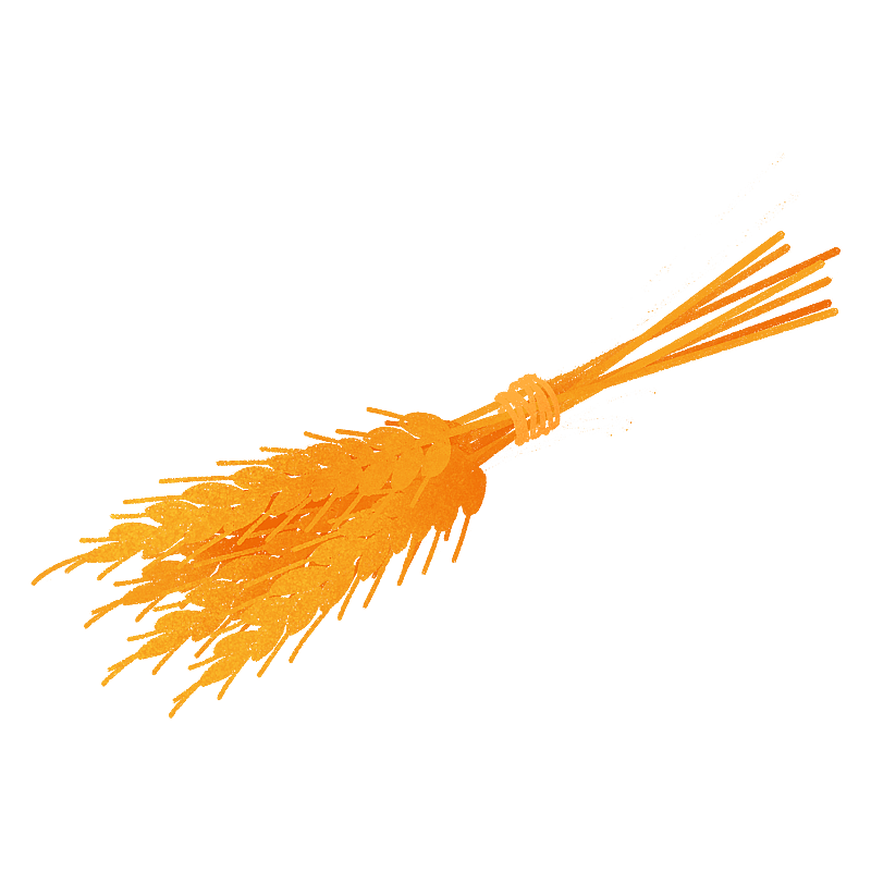 一捆小麦扁平风图片素材