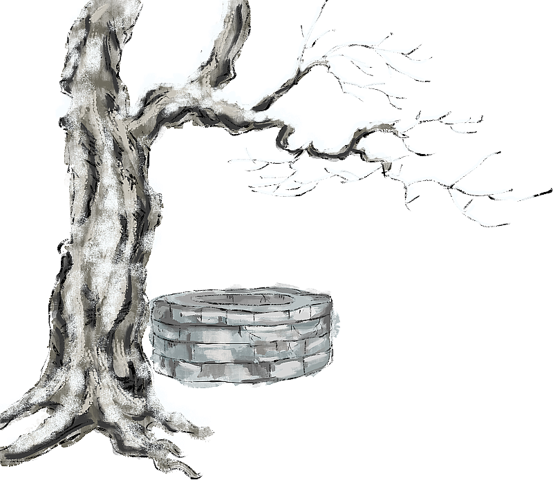 树下的水井图片素材