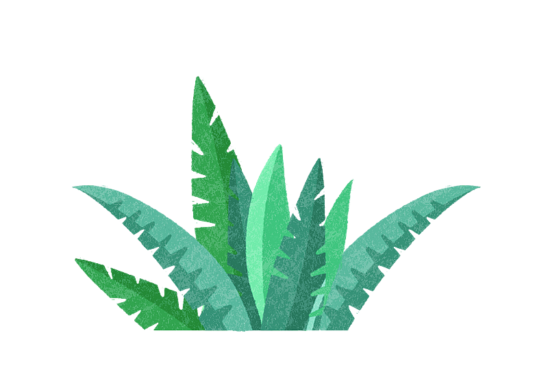 植物叶子图片素材