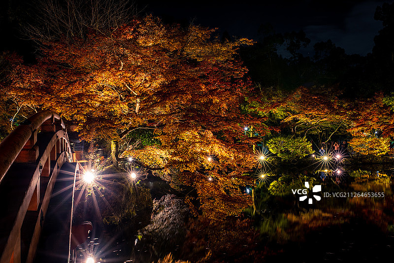 醍醐寺叶枫图片素材