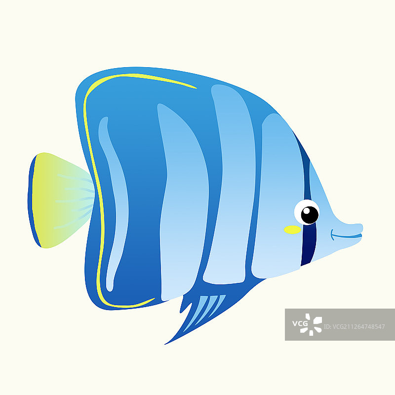 蝴蝶鱼图片素材