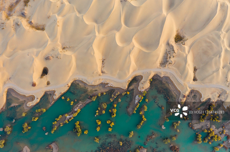 新疆尉犁沙漠胡杨航拍-5图片素材