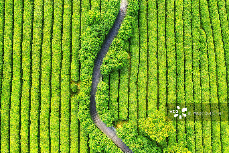 绿园小径+浙江省湖州市吴兴区吴越邱城遗址图片素材