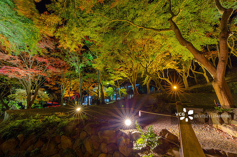 京都秋天琉璃光院周围枫叶季节夜景图片素材