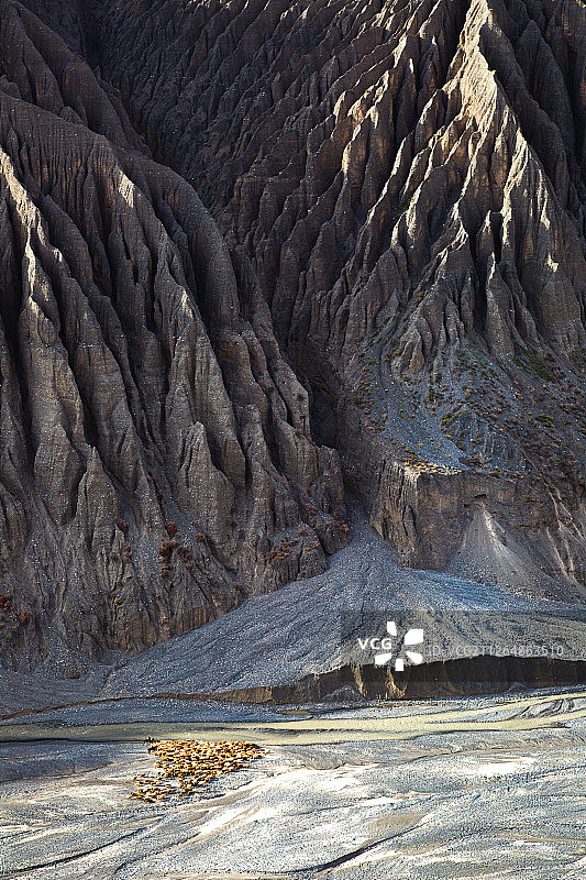 新疆独山子大峡谷牧群-4图片素材