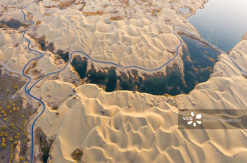 新疆尉犁沙漠胡杨航拍-4图片素材