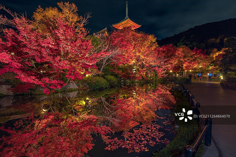 京都秋天枫叶季节清水寺夜间亮灯观拜图片素材