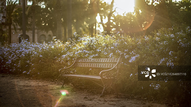 西班牙塞维利亚的院子长椅温暖阳光图片素材