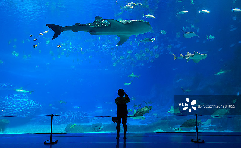 巨型水族馆图片素材