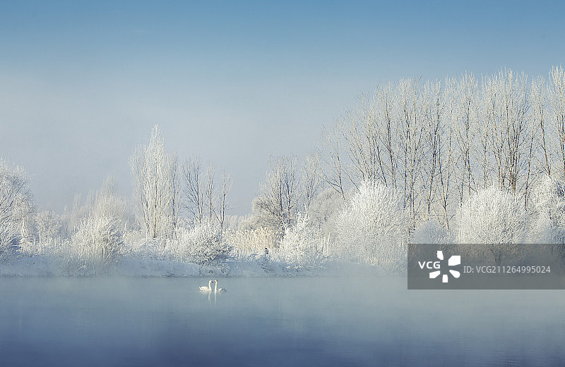 雾凇天鹅湖图片素材
