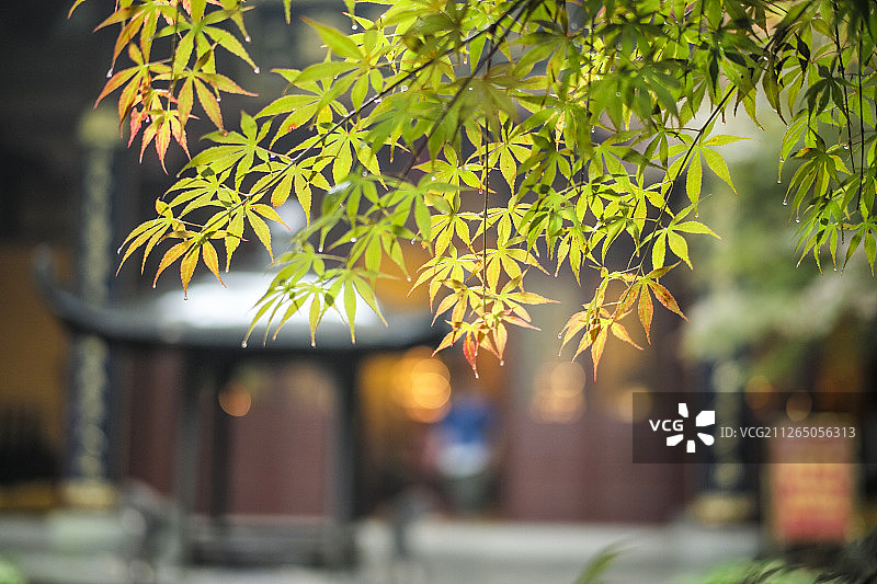 杭州永福寺意境图片素材