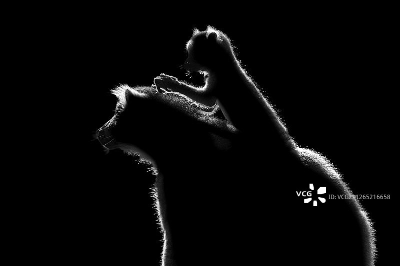 给妈妈洗头图片素材