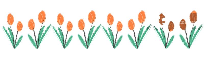 郁金香图片素材