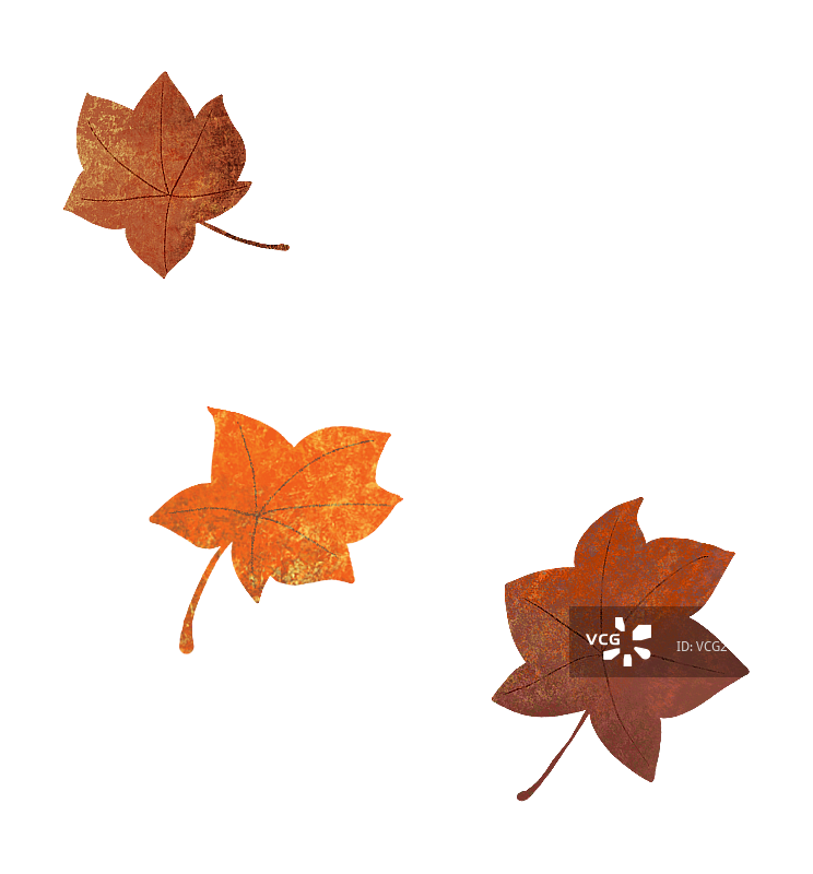 秋天的叶子图片素材