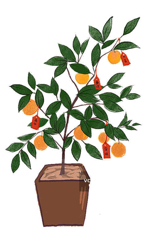 过年吉祥许愿桔子树图片素材