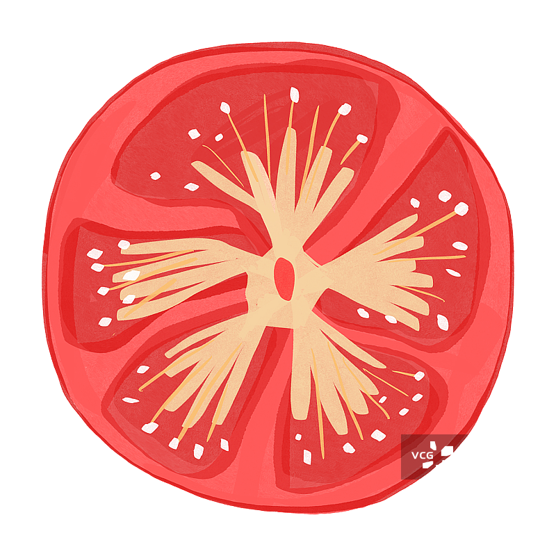 西红柿图片素材