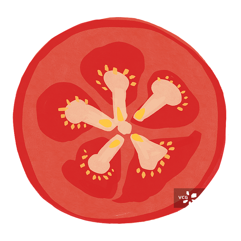 西红柿图片素材