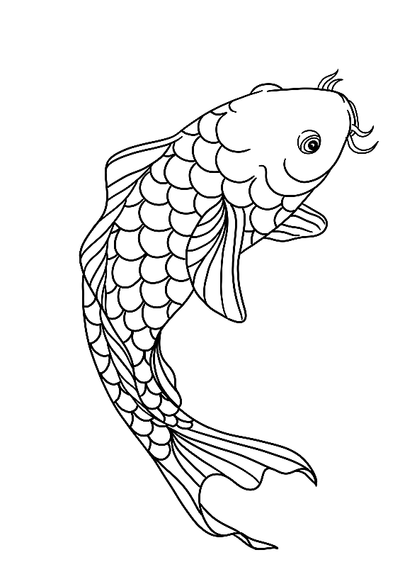 锦鲤插图图片素材