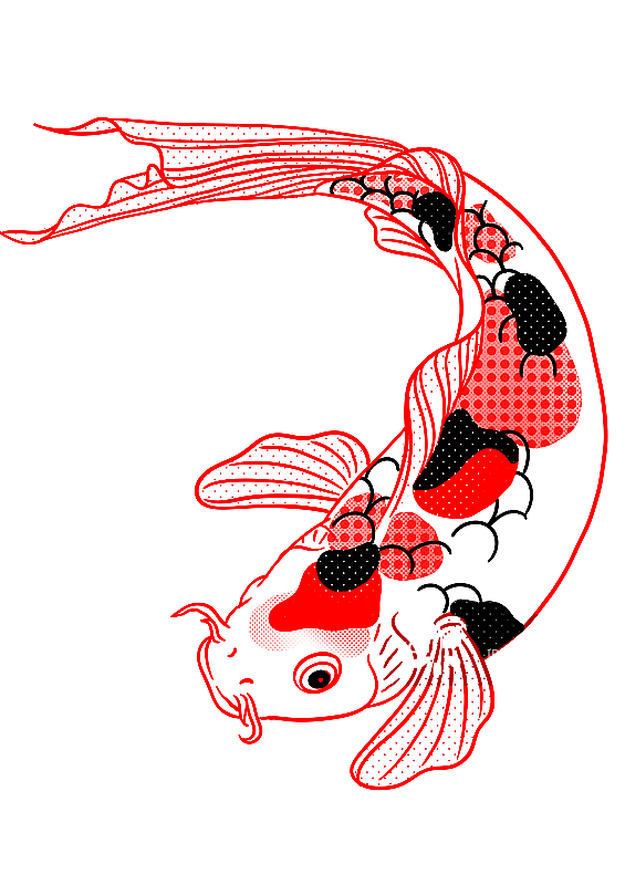 锦鲤插图图片素材