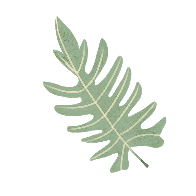 热带植物叶片图片素材