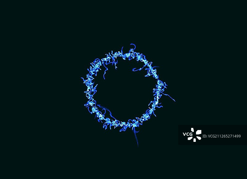 科技光效背景图片素材