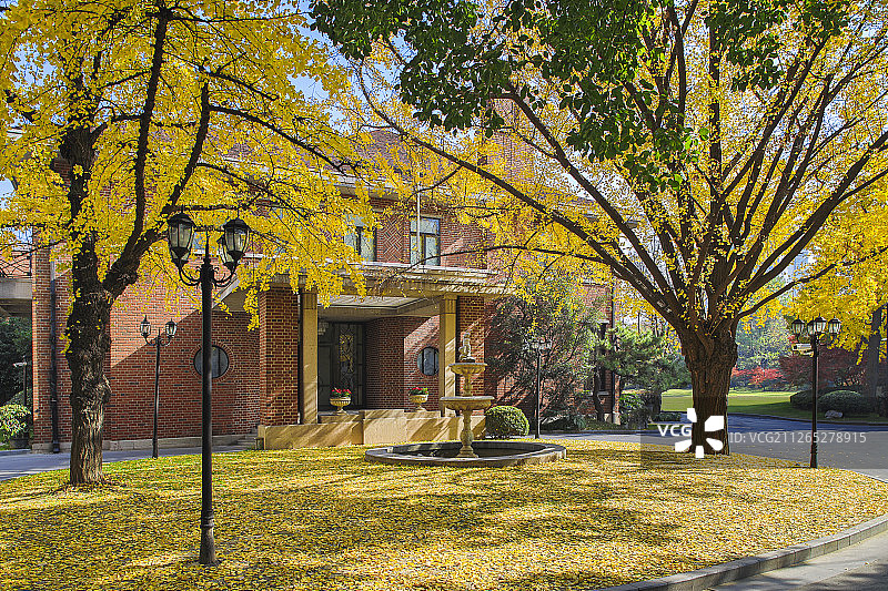 上海城市景观秋景图片素材