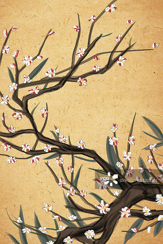 水墨工笔中国风白色腊梅插画图片素材