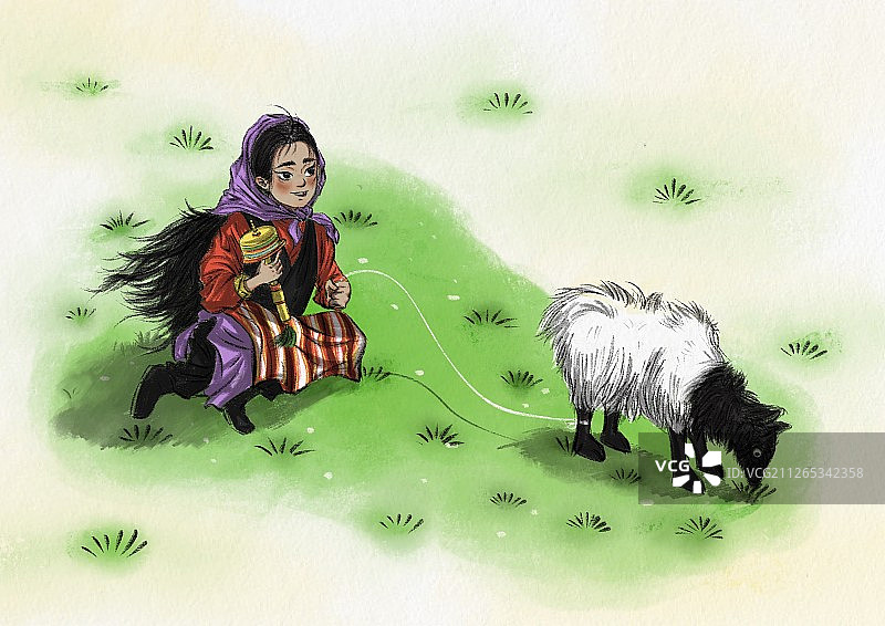 西藏草原的放羊少女图片素材
