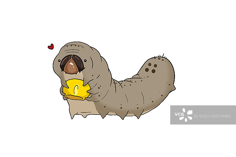 草地贪夜蛾的幼虫正在啃食玉米粒图片素材