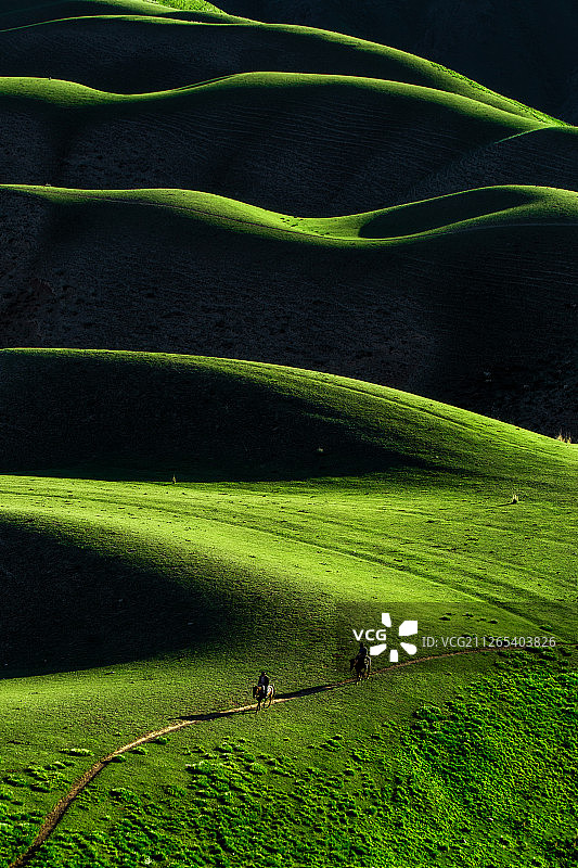 新疆草原雪山天山赛里木湖巴音布鲁克北疆人体草原喀拉峻图片素材