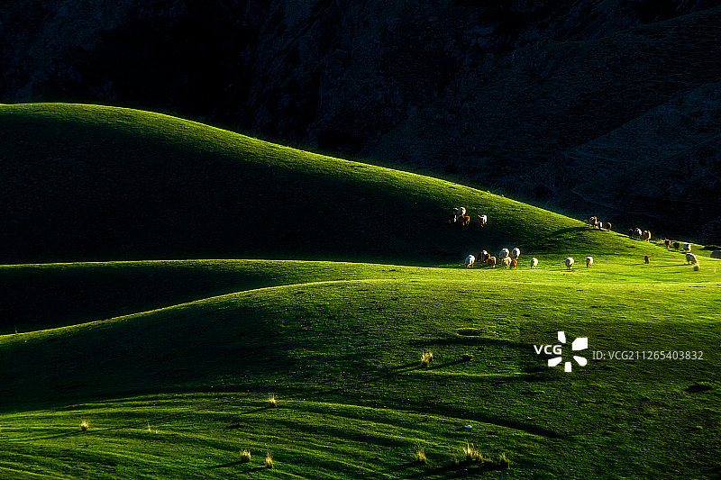 新疆草原雪山天山赛里木湖巴音布鲁克北疆人体草原喀拉峻图片素材