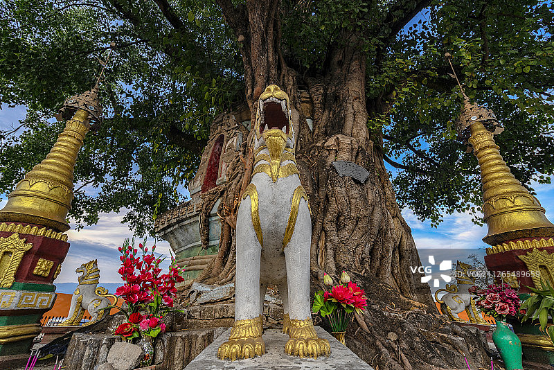 云南德宏芒市树包塔图片素材