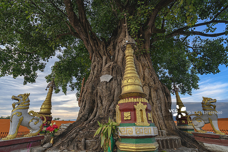 云南德宏芒市树包塔图片素材