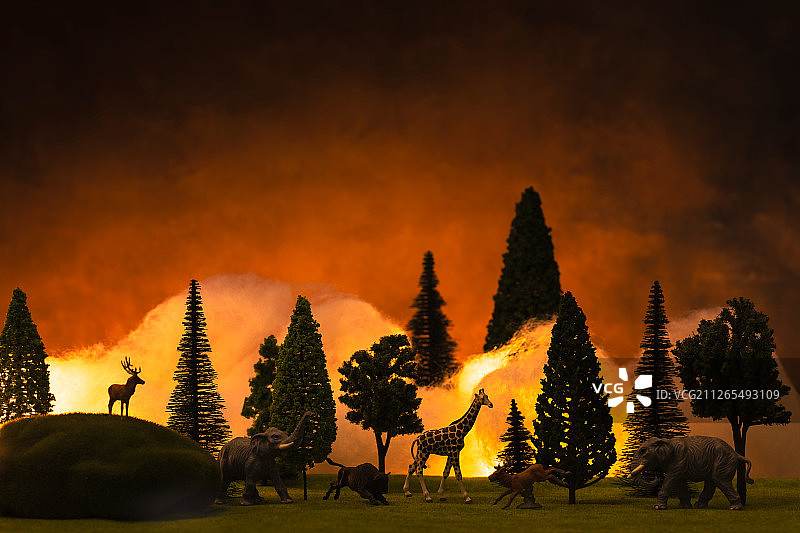 森林大火逃跑的动物图片素材
