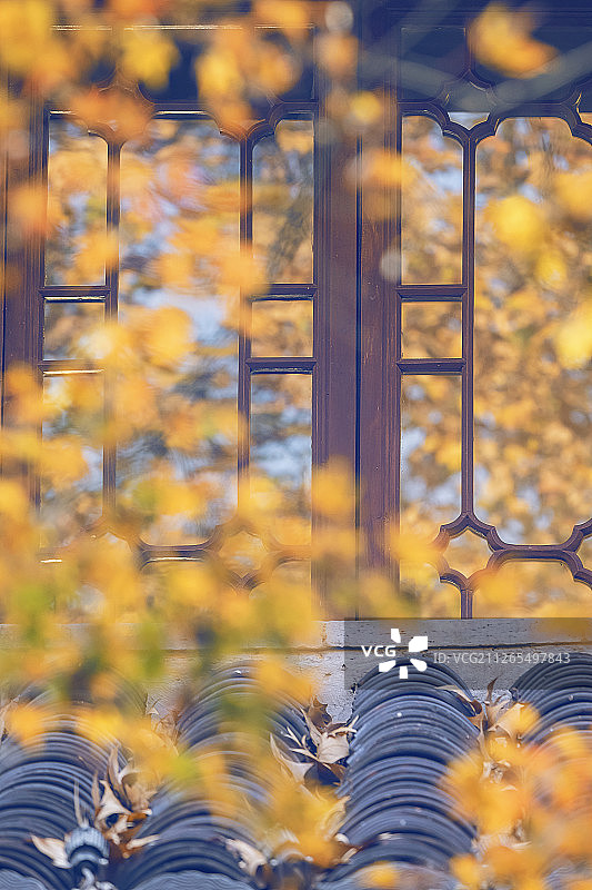 西湖秋色图片素材